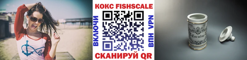 Cocaine FishScale  где купить   Кузнецк 