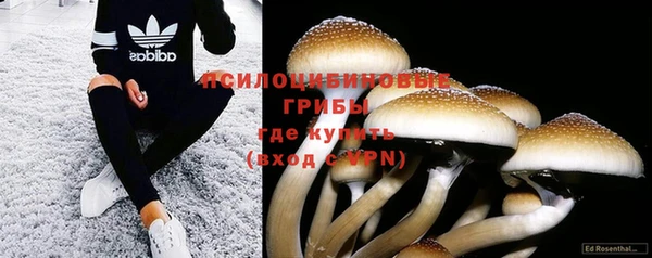 кокс Няндома
