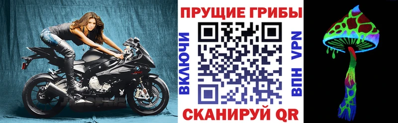 купить наркоту  дарк нет какой сайт  Галлюциногенные грибы GOLDEN TEACHER  Кузнецк  OMG зеркало 