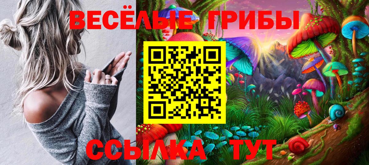 Галлюциногенные грибы Cubensis  Псилоцибиновые грибы ЛСД  Кузнецк  Вход с VPN 