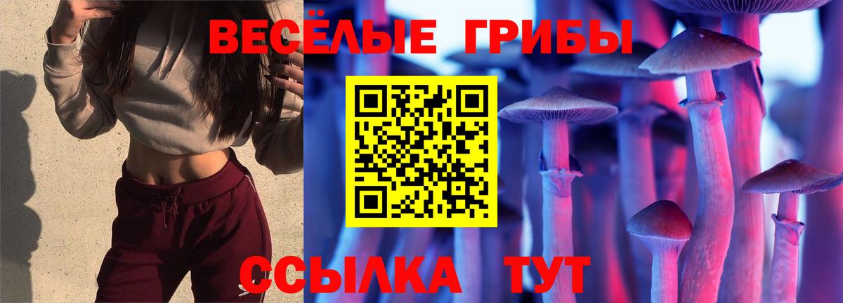 Псилоцибиновые грибы прущие грибы Кузнецк