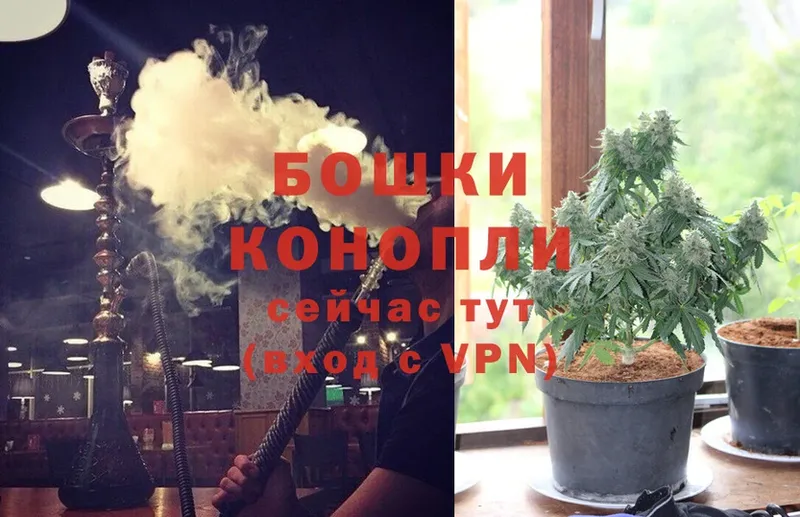 blacksprut   Кузнецк  Канабис Ganja 